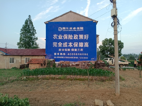 安顺墙体广告为何受追捧？