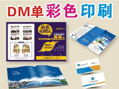 安顺单页印刷，色彩搭配简单。